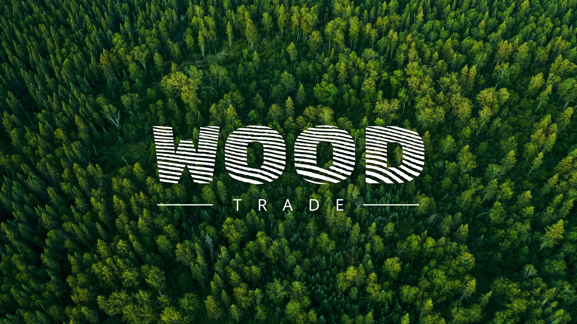 Разработка интернет-магазина компании «Wood Trade» в Выборге