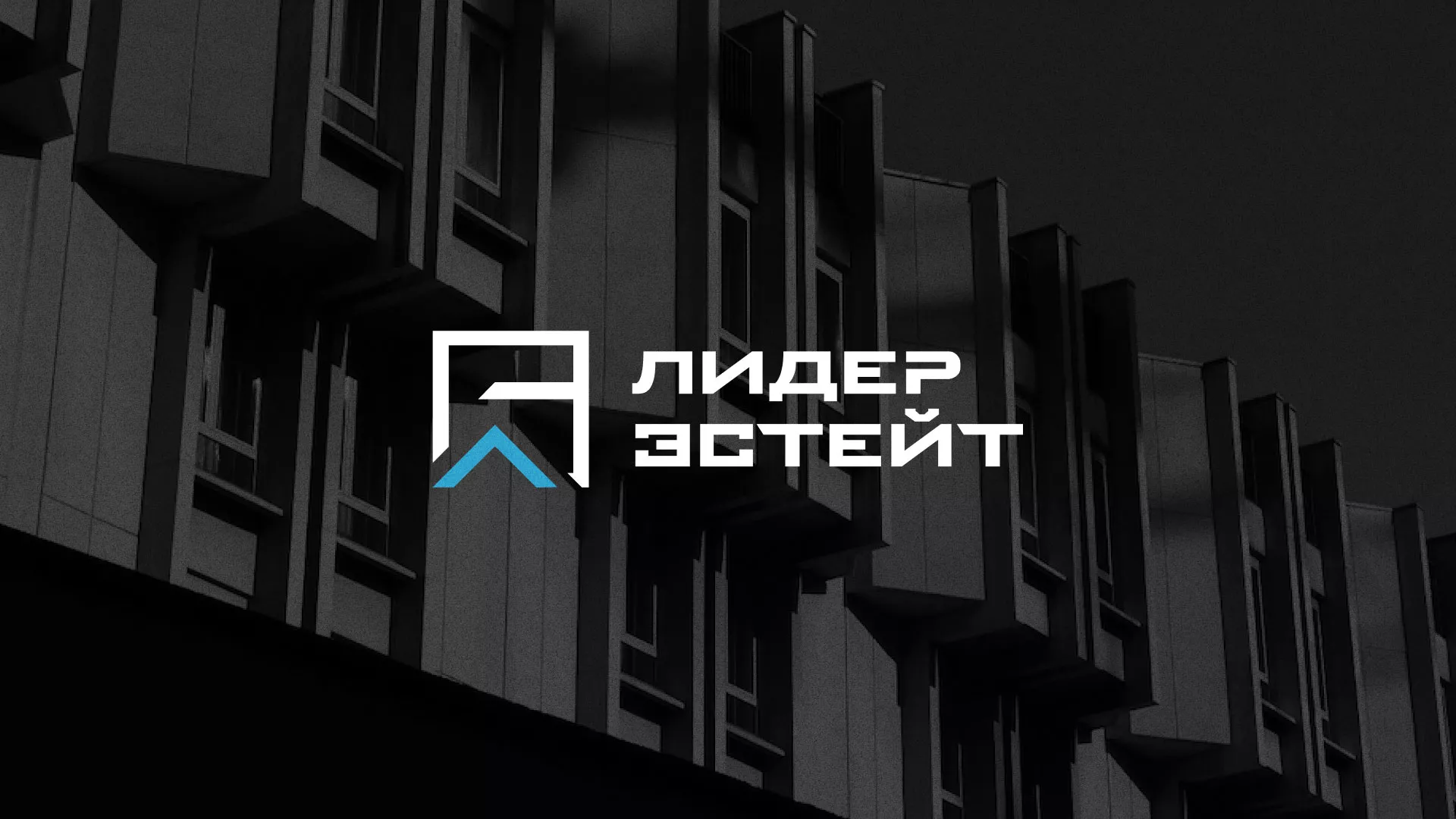 Разработка логотипа агентства недвижимости «Лидер Эстейт» в Выборге